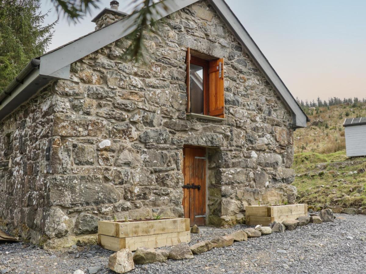 Brithgwm Canol Долгеллау Экстерьер фото